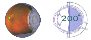 Optos Enhanced Retinal Photography